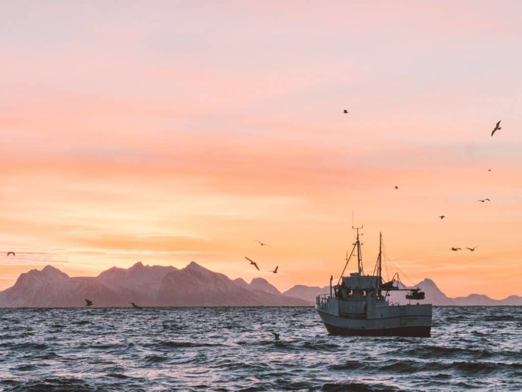 aprilvis vis vissersboot