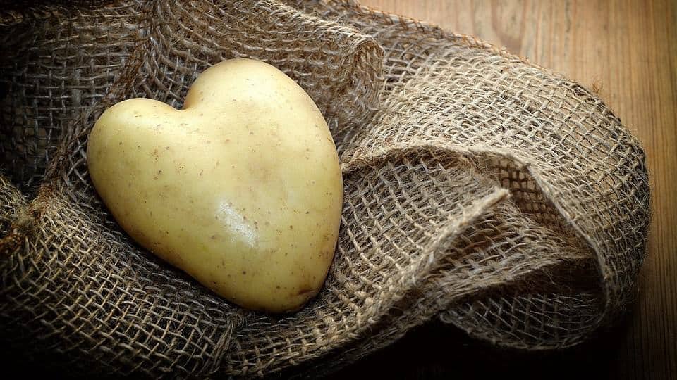 aardappelen horeca webzine potato club
