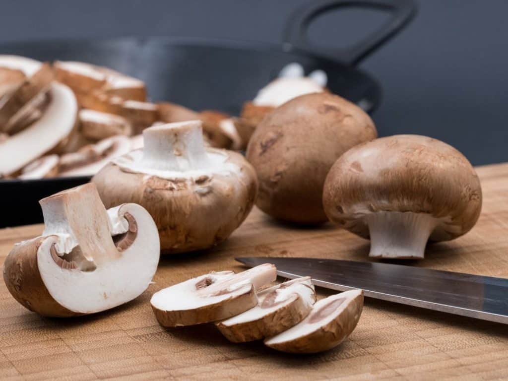 champignons paddenstoelen frank fol horeca webzine